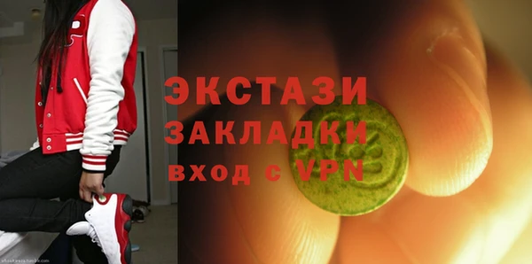 скорость Каменка