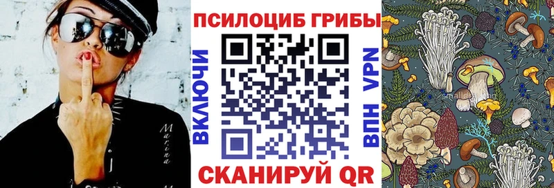 Галлюциногенные грибы Psilocybe  Болхов 