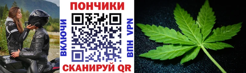Бошки марихуана SATIVA & INDICA  Болхов 